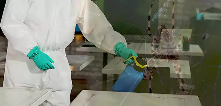 Why Buyers Still Want Homes With Pest Infestations in West Virginia, WV?