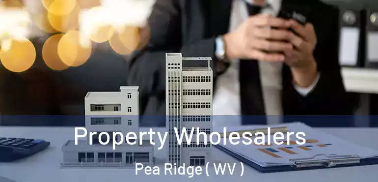  Property Wholesalers Pea Ridge ( WV )
