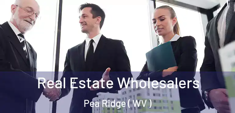  Real Estate Wholesalers Pea Ridge ( WV )
