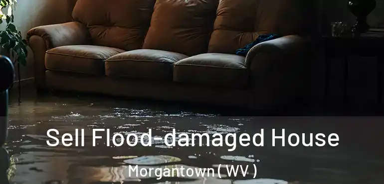  Sell Flood-damaged House Morgantown ( WV )