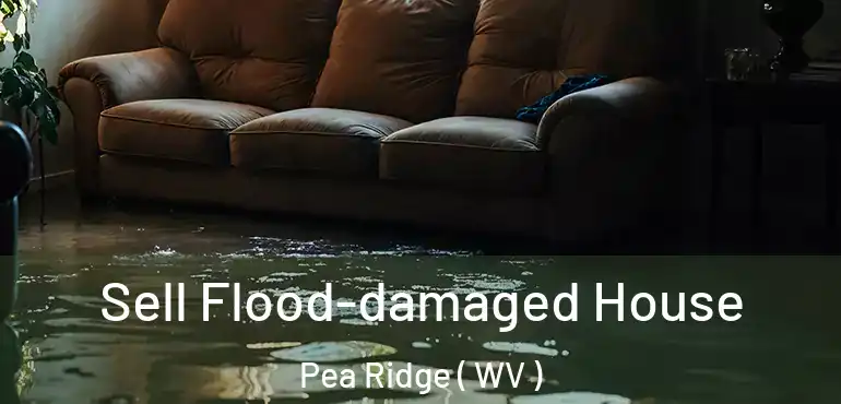  Sell Flood-damaged House Pea Ridge ( WV )