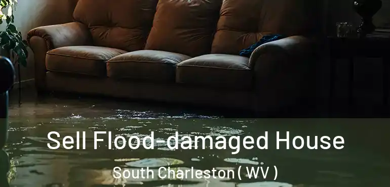 Sell Flood-damaged House South Charleston ( WV )