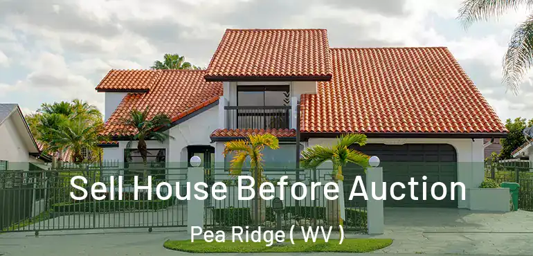 Sell House Before Auction Pea Ridge ( WV )