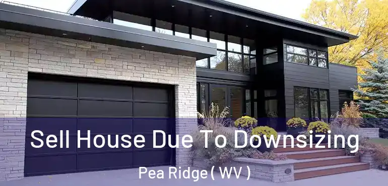  Sell House Due To Downsizing Pea Ridge ( WV )