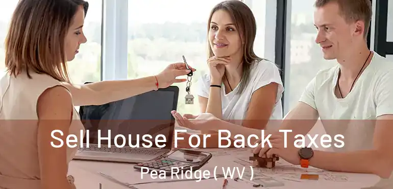  Sell House For Back Taxes Pea Ridge ( WV )