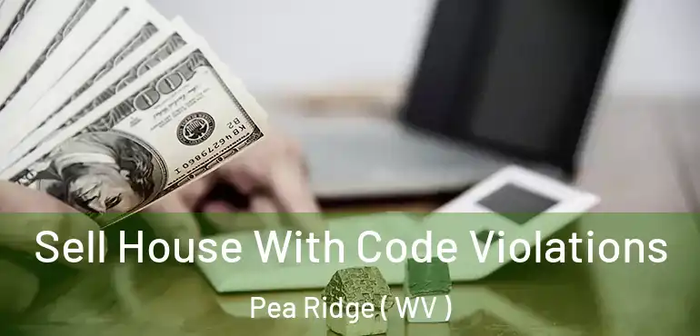  Sell House With Code Violations Pea Ridge ( WV )