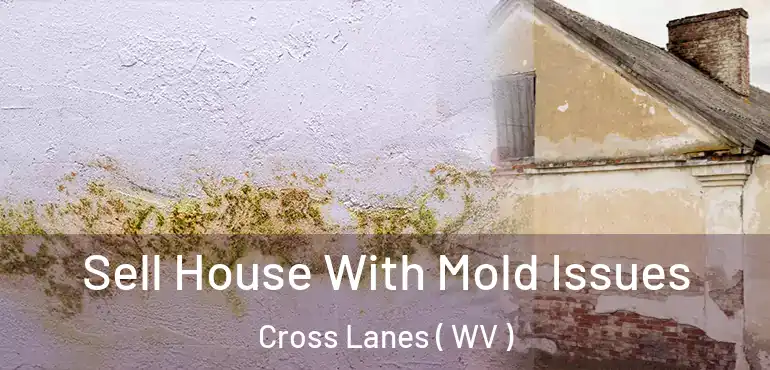  Sell House With Mold Issues Cross Lanes ( WV )