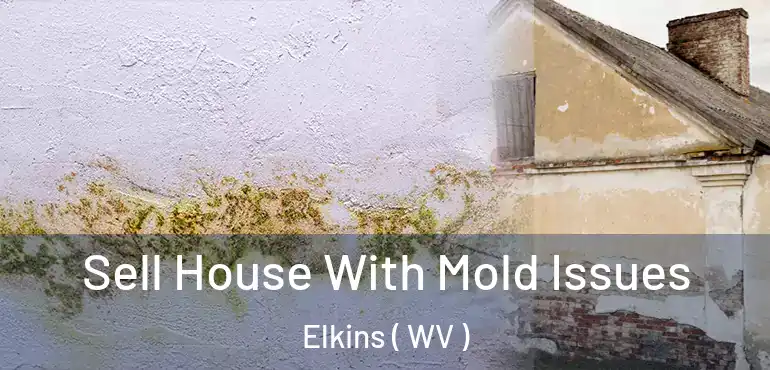  Sell House With Mold Issues Elkins ( WV )