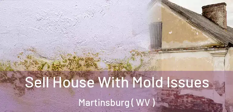  Sell House With Mold Issues Martinsburg ( WV )