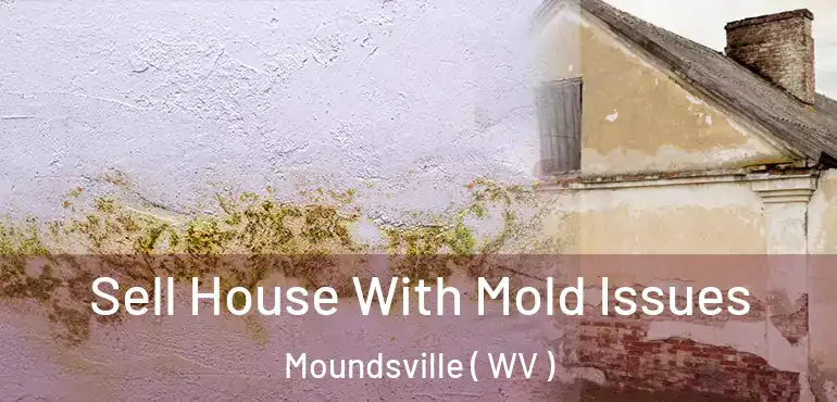  Sell House With Mold Issues Moundsville ( WV )