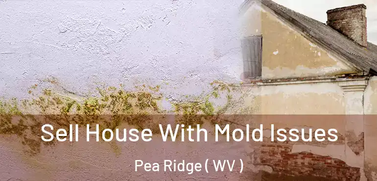  Sell House With Mold Issues Pea Ridge ( WV )