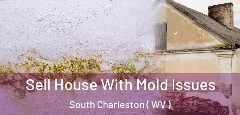  Sell House With Mold Issues South Charleston ( WV )