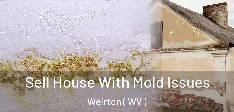  Sell House With Mold Issues Weirton ( WV )