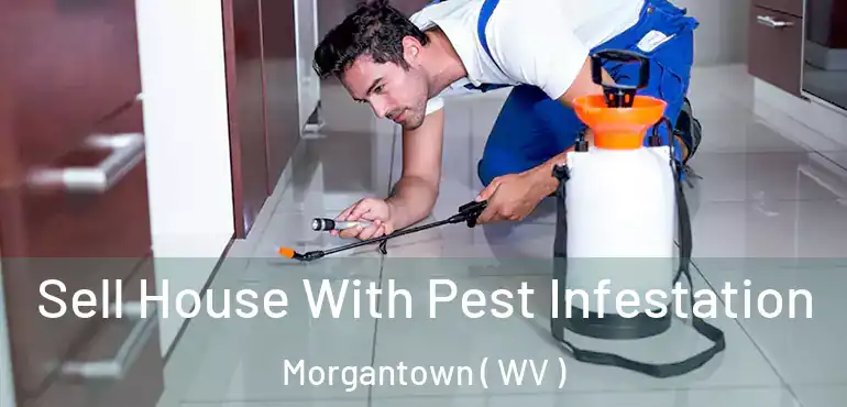  Sell House With Pest Infestation Morgantown ( WV )