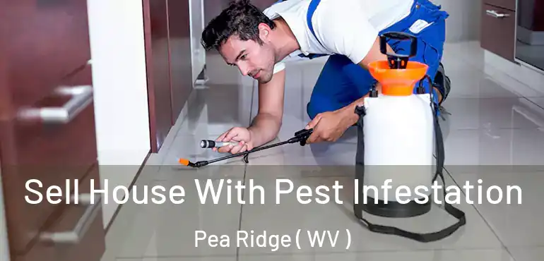  Sell House With Pest Infestation Pea Ridge ( WV )