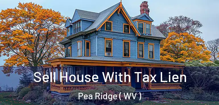  Sell House With Tax Lien Pea Ridge ( WV )