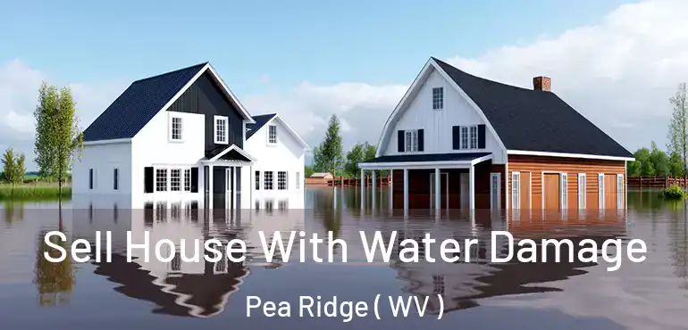  Sell House With Water Damage Pea Ridge ( WV )